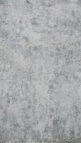 Dutch Wallcoverings One Roll One Motif MO6001 Behang