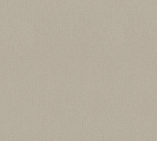 AS Creation Terra - 2117-12 / 211712 Grijs / Taupe Behang