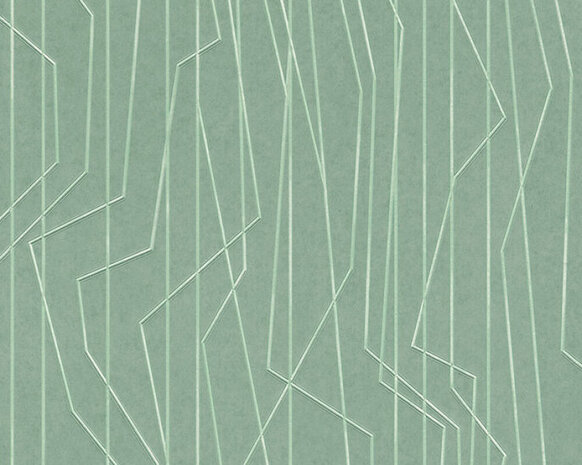 AS Creation Emotion Graphic 36878-5 - Groen Behang