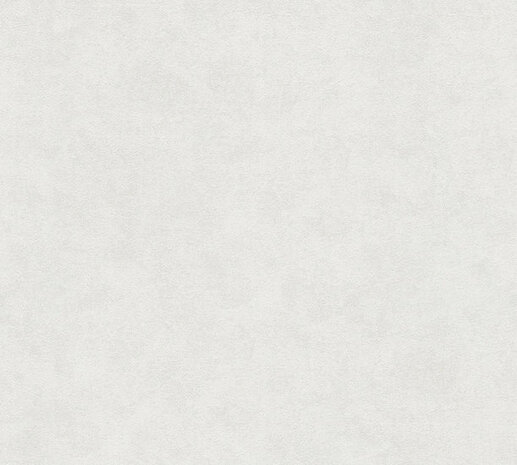 AS Creation Beton Concrete & More 1160-48 / 116048 - Grijs Behang