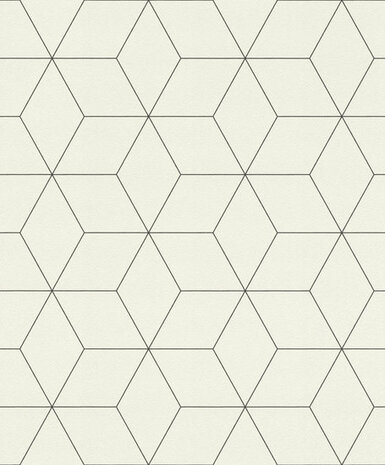 Rasch Selection Collectie 624304 Hexagone Behang