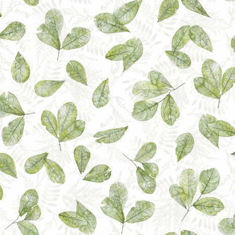 Noordwand Evergreen 7305 Behang