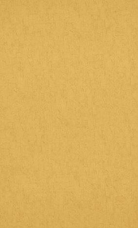 BN Van Gogh Behang 17132 Behang