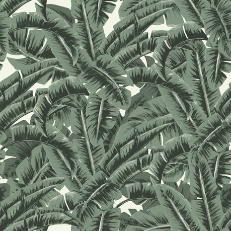 Esta Paradise 139156 - Groen Behang