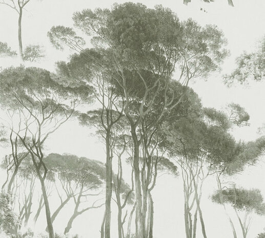 AS Creation History of Art 37651-2 - 376512 - Groen / Wit Behang