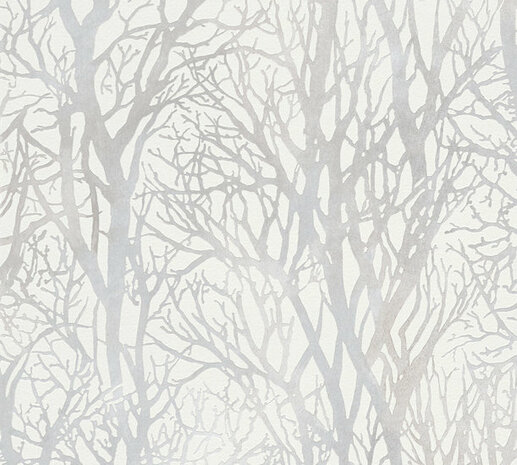 AS Creation New Life / Attractive 2 | 30094-1 - 300941 - Wit / Zilver Behang