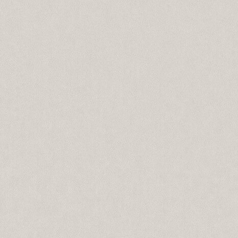 BN Wallcoverings Grand Safari 220501 - Beige Behang