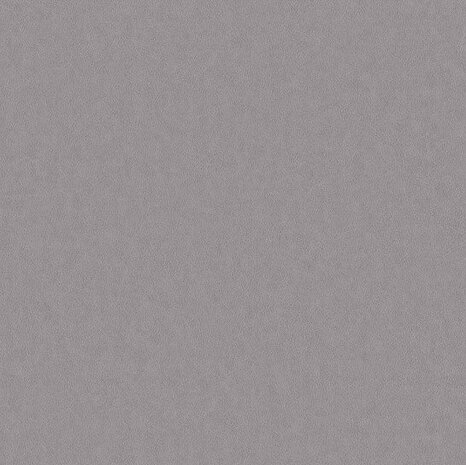 BN Wallcoverings Grand Safari 220503 - Grijs Behang