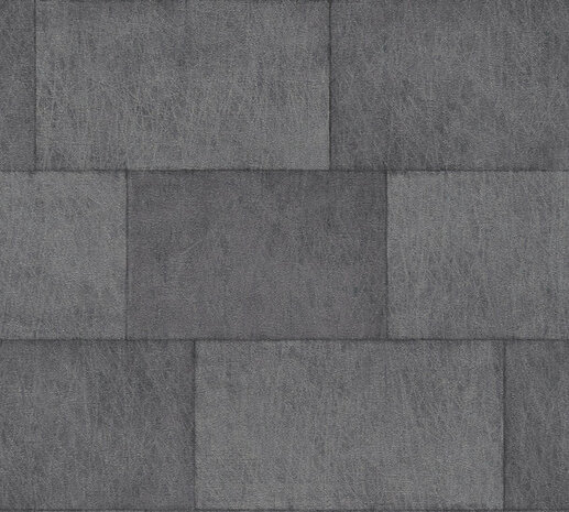AS Creation Titanium 3 38201-6 / 382016 - Zwart Behang