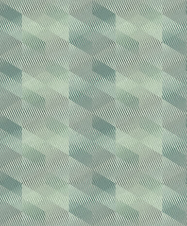 HookedOnWalls Affinity AF24580 Behang
