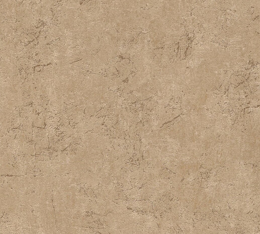 AS Creation Desert Lodge 38484-1 / 384841 Bruin Beton Behang