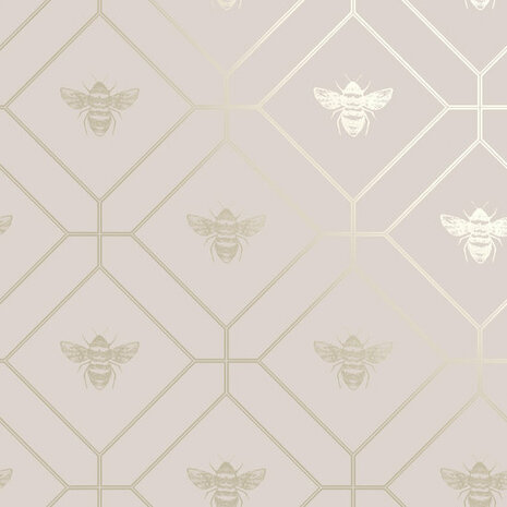 Dutch Wallcoverings Imaginarium II 13083 Roze + Goud Metallic Behang