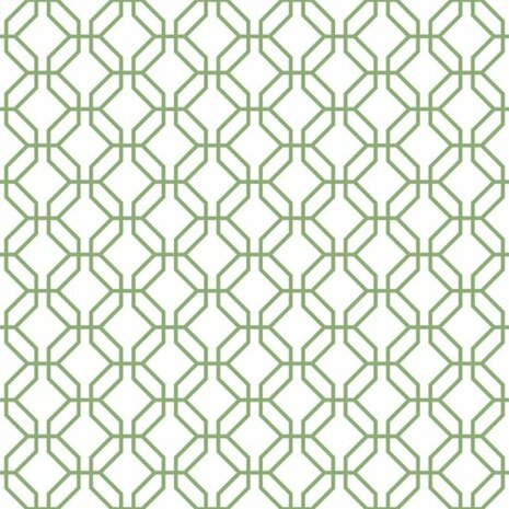 Noordwand Secret Garden G78528 Groen - Wit Behang