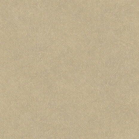 HookedOnWalls TAHITI LEATHER PLAIN TA25021 Behang