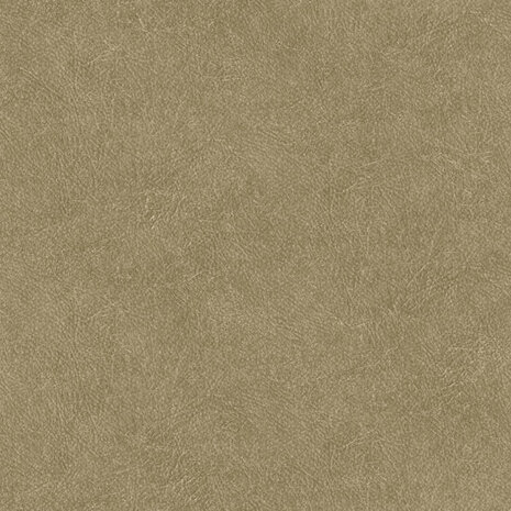 HookedOnWalls TAHITI LEATHER PLAIN TA25022 Behang