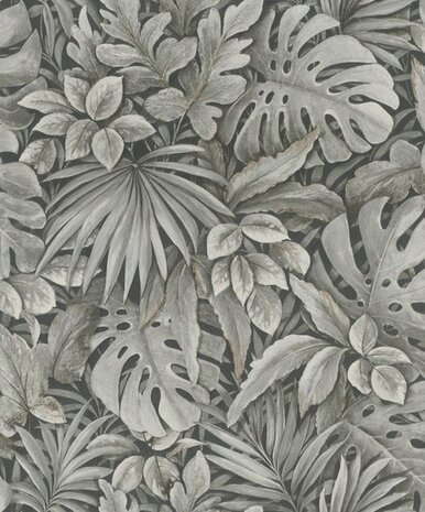Noordwand Botanica 33305 Zwart - Bruin - Grijs Behang