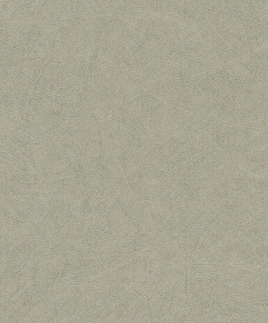 Rasch Concrete 520279 Behang