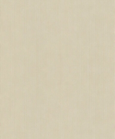 Rasch Concrete 521450 Behang