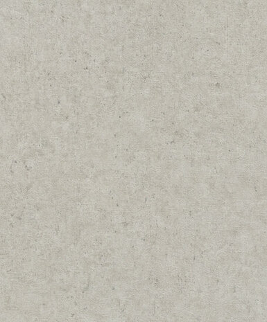 Rasch Concrete 520859 Behang