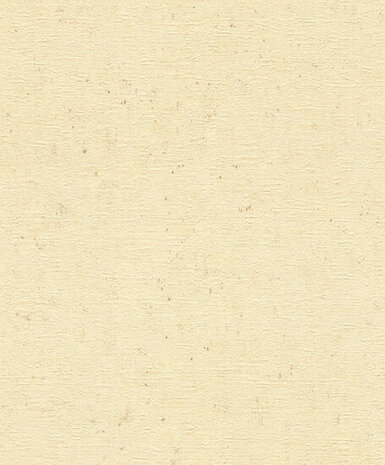 Rasch Concrete 520842 Behang