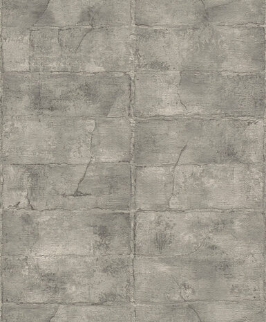 Rasch Concrete 520156 Behang