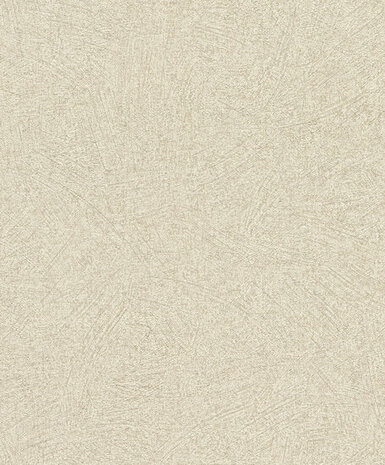 Rasch Concrete 520248 Behang