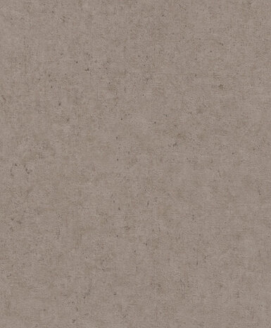 Rasch Concrete 520873 Behang