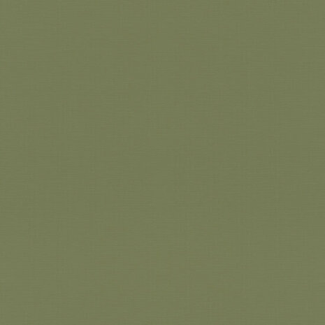 Rasch Rhapsody / Symphony / Country Charme / Allegretto 687538 Groen Behang