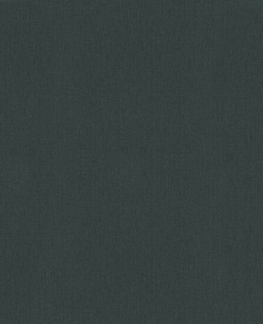 Noordwand Assorti 2024 - 6816-40 Zwart Behang