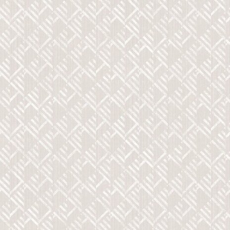 Noordwand Assorti 2024 - G56583 Beige Behang