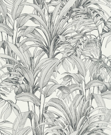 Dutch Wallcoverings Asperia A51401 wit - zwart Behang