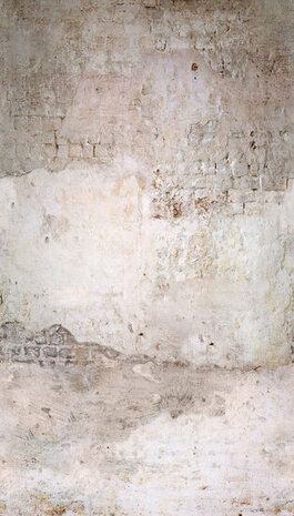 Dutch Wallcoverings One Roll One Motif A51601 Stable Brick Behang