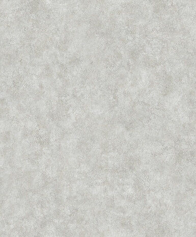 Dutch Wallcoverings Structures M550-19 grijs Behang