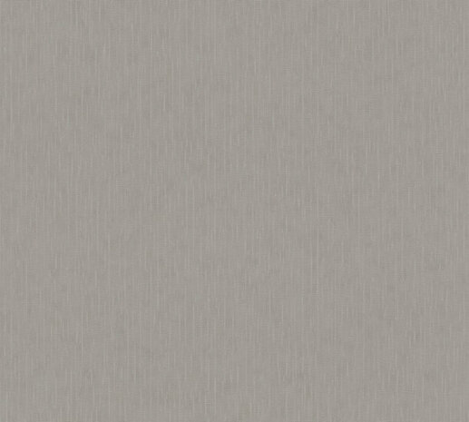 Versace Home 5 38383-5 Zilver - Zilver - Grijs Behang