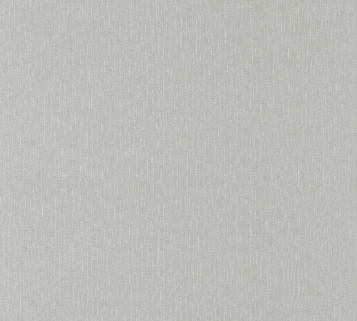 Versace Home 5 38384-1 Zilver - Zilver - Grijs Behang