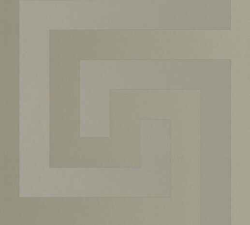 Versace Home 5 38609-2 Zilver - Zilver - Grijs Behang