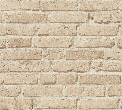 AS Creation Elements 35581-2 / 355812 Beige Behang