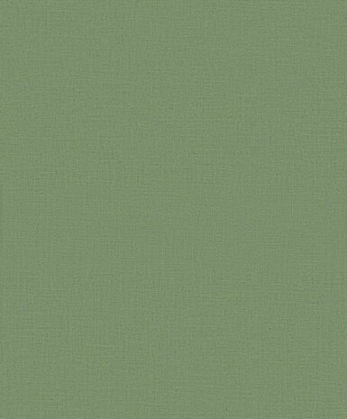 Dutch Wall Decor Daphne CC100507 Groen Behang