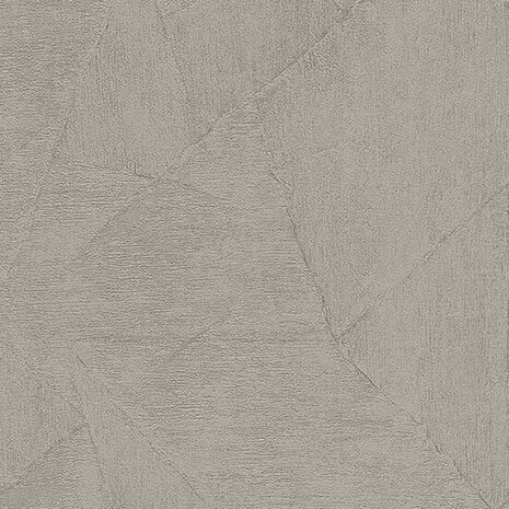 Dutch Wall Decor Opus EV101837 Taupe Behang