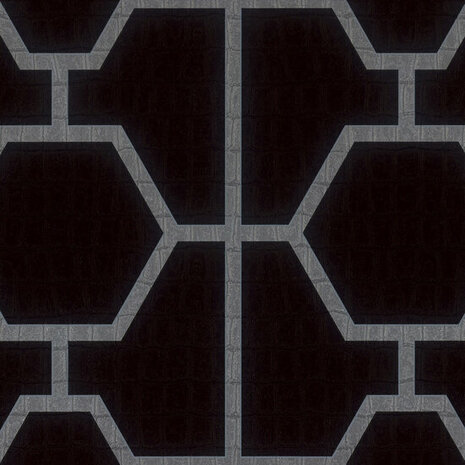 Dutch Wall Decor Philipp Plein Z80024 Zwart / Grijs Behang
