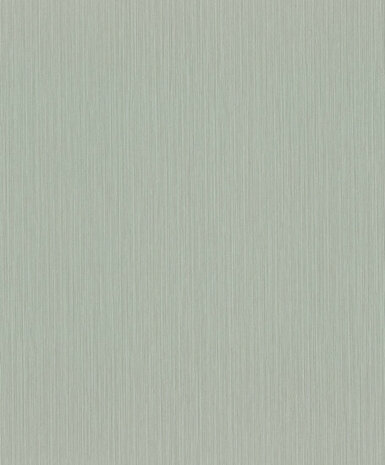 Rasch Curiosity 537659 Behang