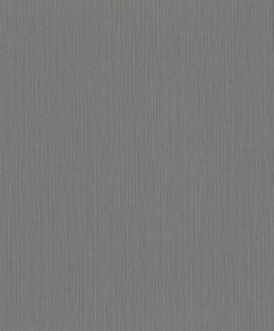 Rasch Curiosity 537697 Behang