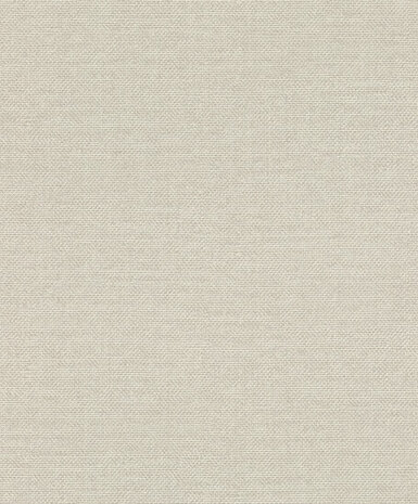 Rasch Color Your Life 312140 Behang