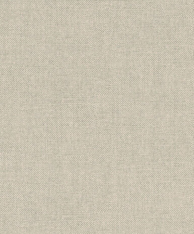 Rasch Color Your Life 312164 Behang