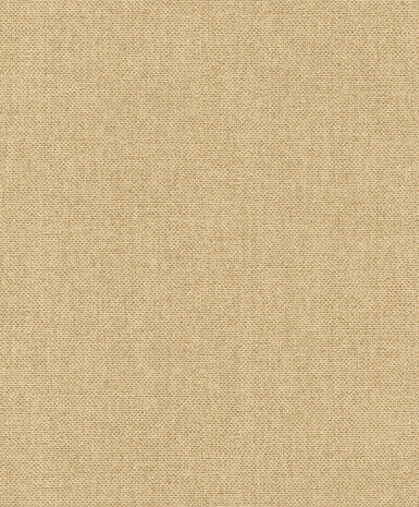 Rasch Color Your Life 312171 Behang