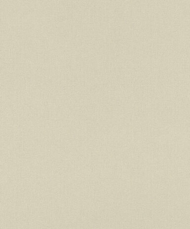 Rasch Color Your Life 633344 Behang