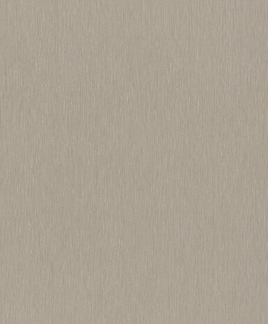 Rasch Color Your Life 810141 Behang