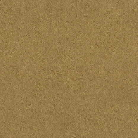Rasch African Queen 3 - 751031 Goud Behang