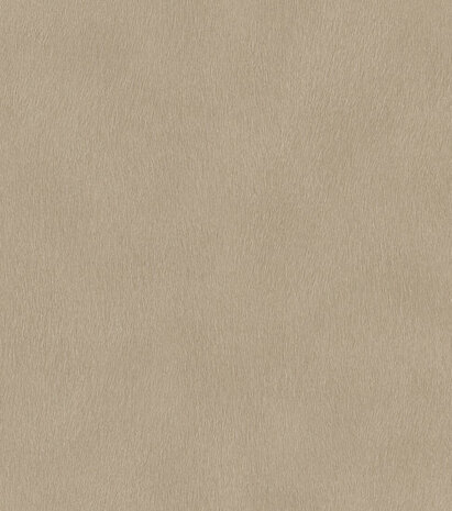 Rasch African Queen 3 - 751055 Bruin Behang