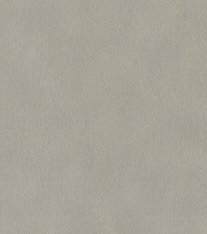 Rasch African Queen 3 - 751062 Grijs Behang